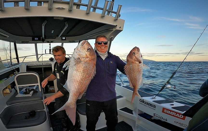 Ultimate Charters., Auckland, New Zealand