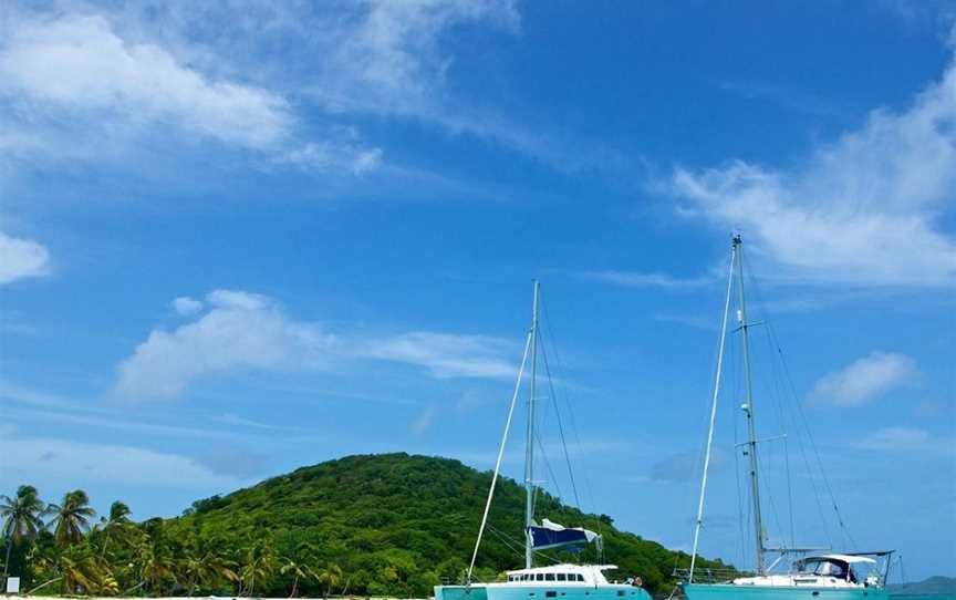 Vigilant Yacht Charters, Russell, New Zealand