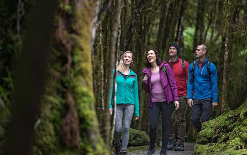 Lake Matheson Walk, Fox Glacier, New Zealand