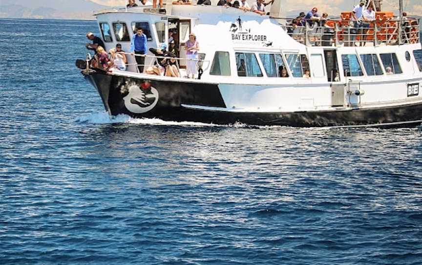 Bay Explorer, Tauranga, New Zealand