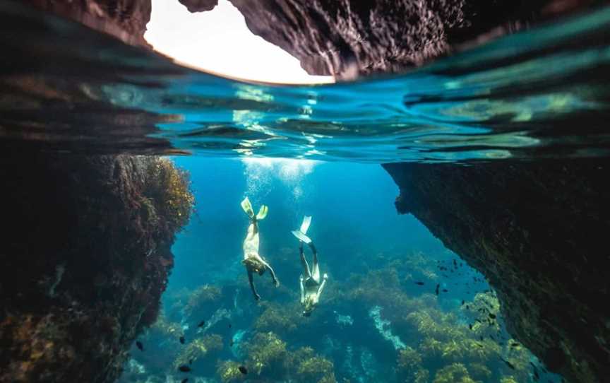 Guided Snorkeling Tours Auckland, Tours in Auckland