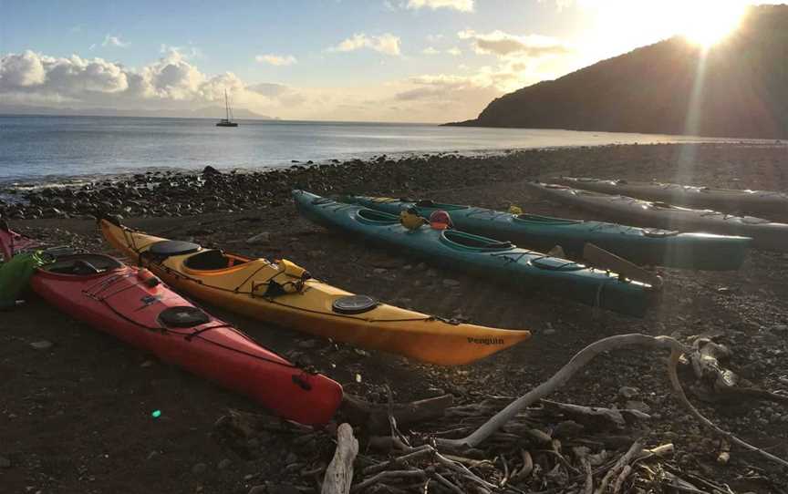 Sunrise Tours, Tours in Auckland