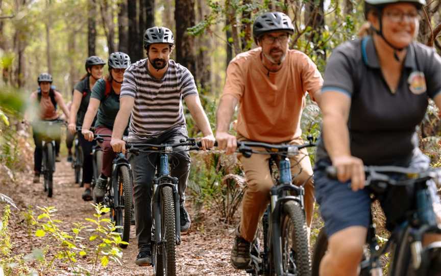 Pedal Assist E-Bike Tours Wellington National Park