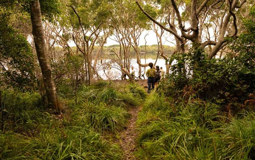 Walking into Lake Ainsworth for a swim