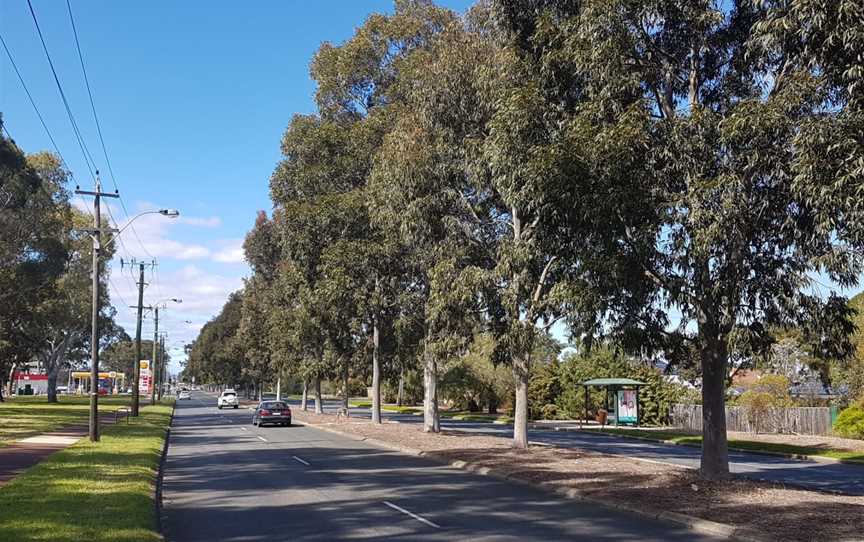 Manning Road approaching Waterford Plaza.jpg