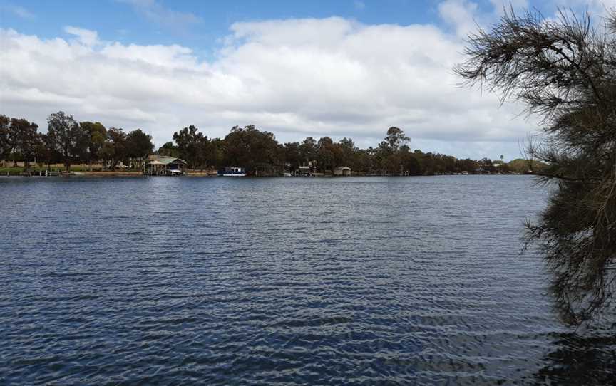 Murray River at North Yunderup, April 2020 03.jpg