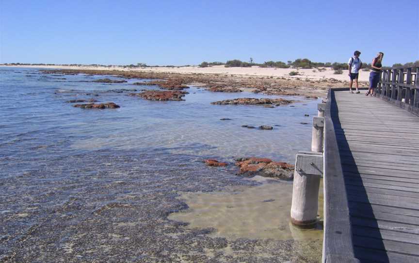 Hamelin Pool( Stromatolites)(2051681681)