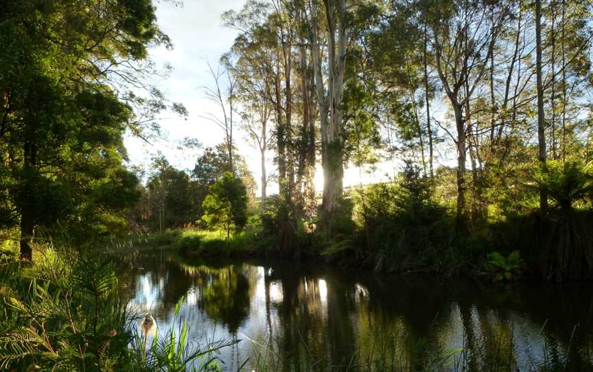 Tuckers Creek CScottsdale Camping Site CTasmania