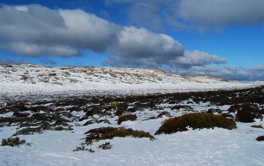 Ben Lomondsnowfields