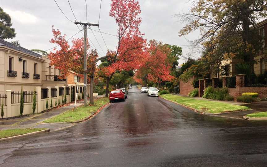 Dunstan Street, Balwyn North.jpg