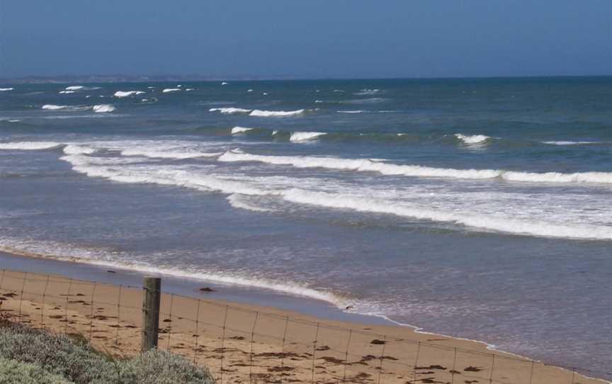 Beach, Ocean Grove, Victoria Australia 000 0137.JPG