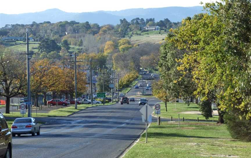 Looking down Gisbornes main street.JPG