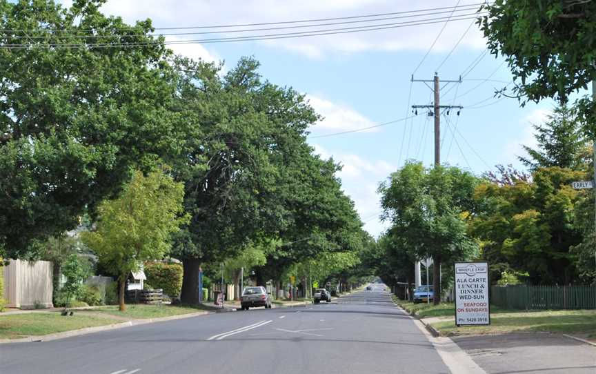 NewGisborneMainStreet.JPG