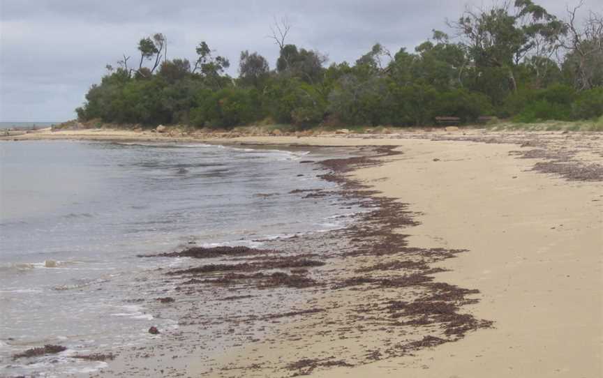 Balnarring Beach CVictoria CAustralia