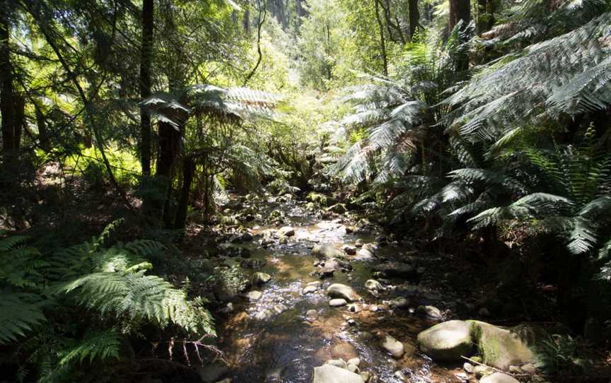 Beautiful badger creek.jpg