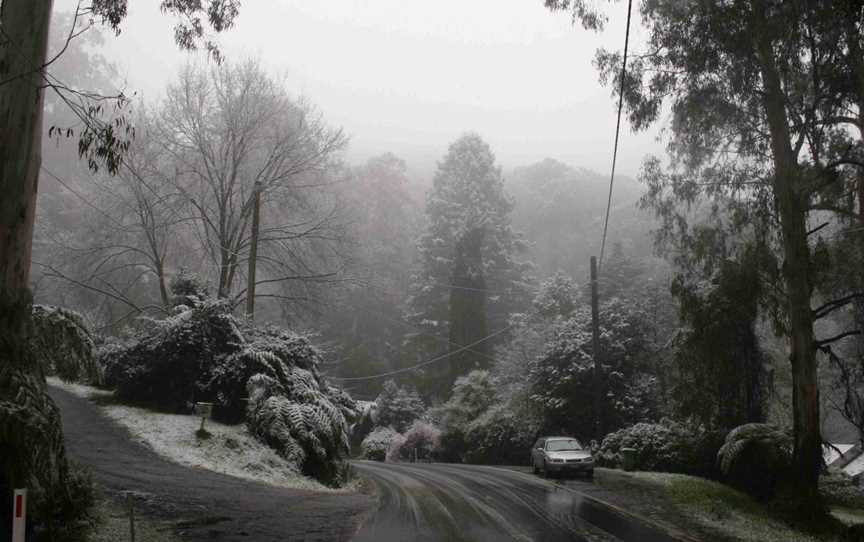 Snowin Ferny Creek CVictoria CAustralia CAugust10 C2008