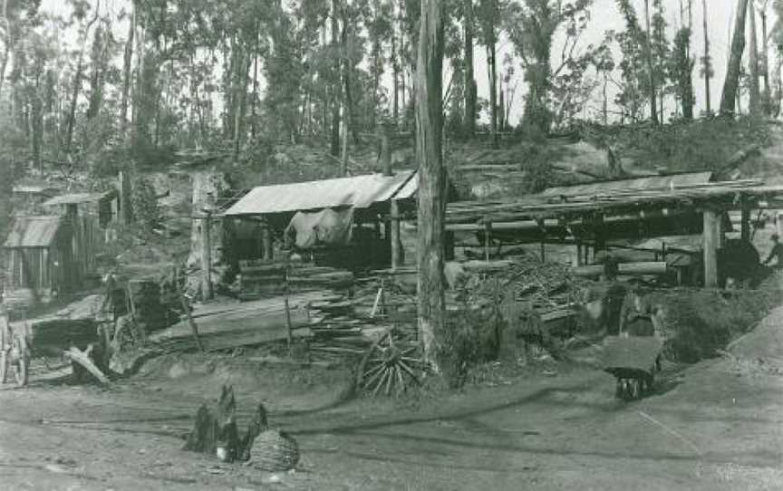 Yinnar South Grants Saw Mill1908