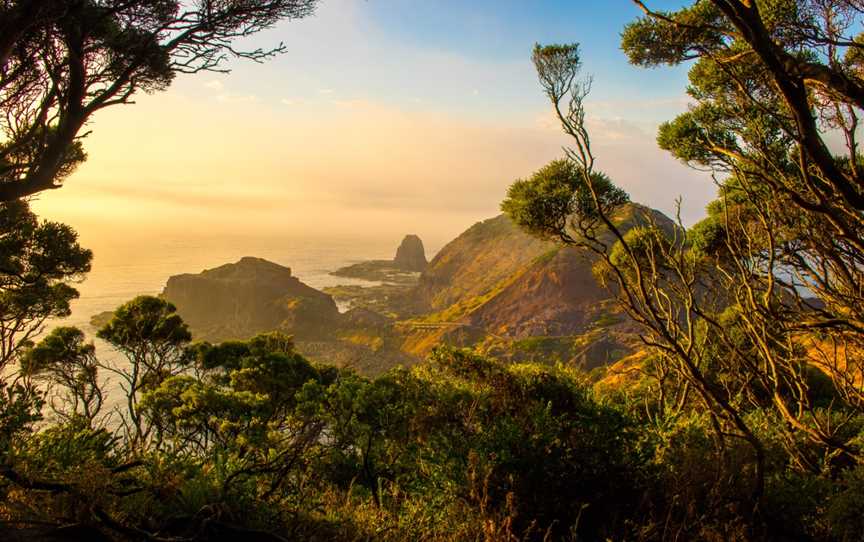 Cape schanck looking towards pulpit rock at dawn.jpg