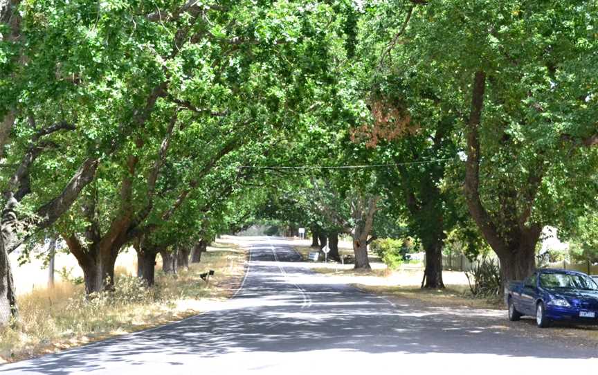 Mainstreetof Glenlyon CVictoria CAustralia