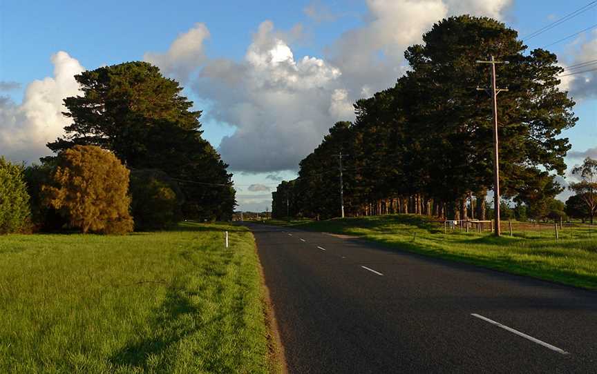 Windbreaks - panoramio.jpg