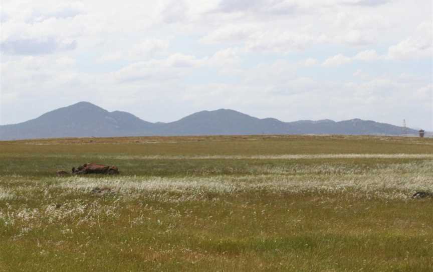 You-yangs-victoria-australia.jpg