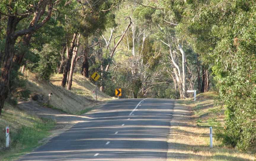 Steels Creek Road.jpg