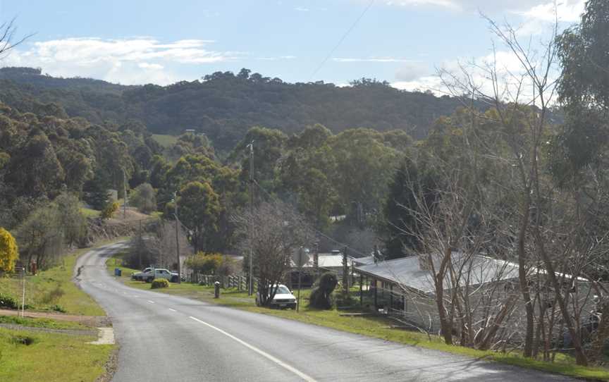 Reedy Creek Main Street.JPG