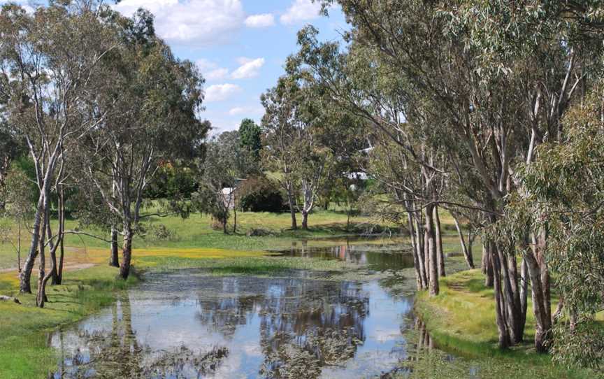 Wannon River Cavendish