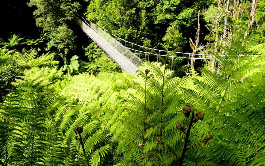 Tarra Bulga Natl Park