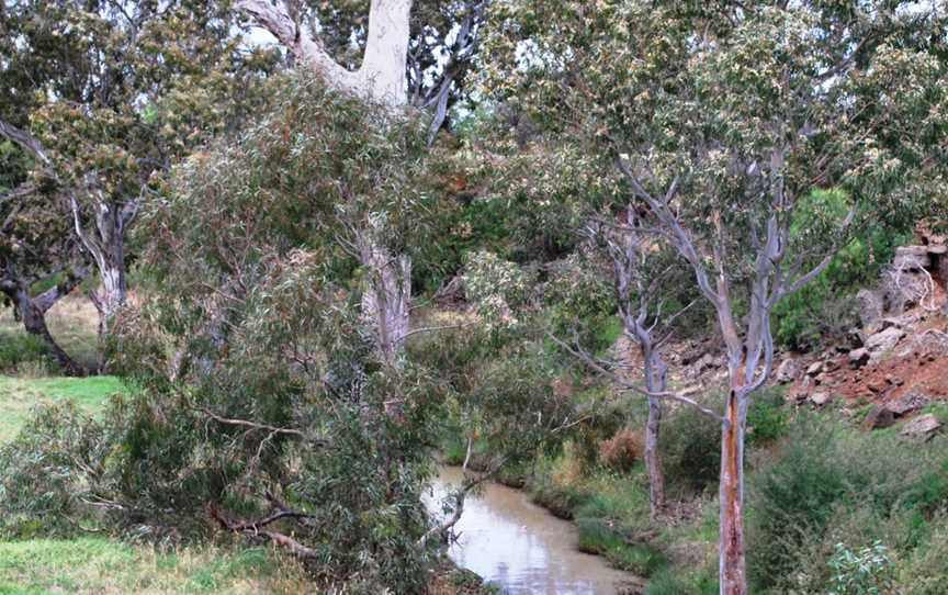 Melton South Toolern Creek