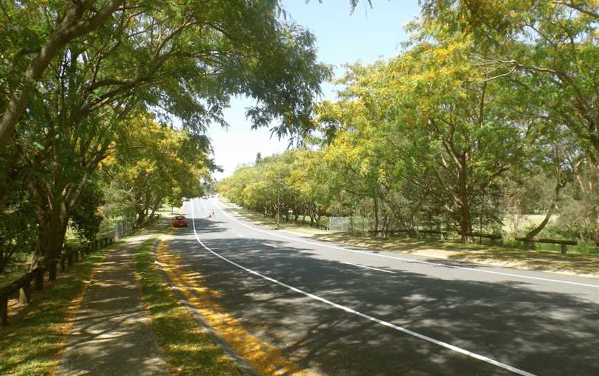 Hickey Way Carrara, Queensland.jpg