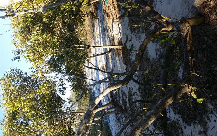 Beachmeremangroves