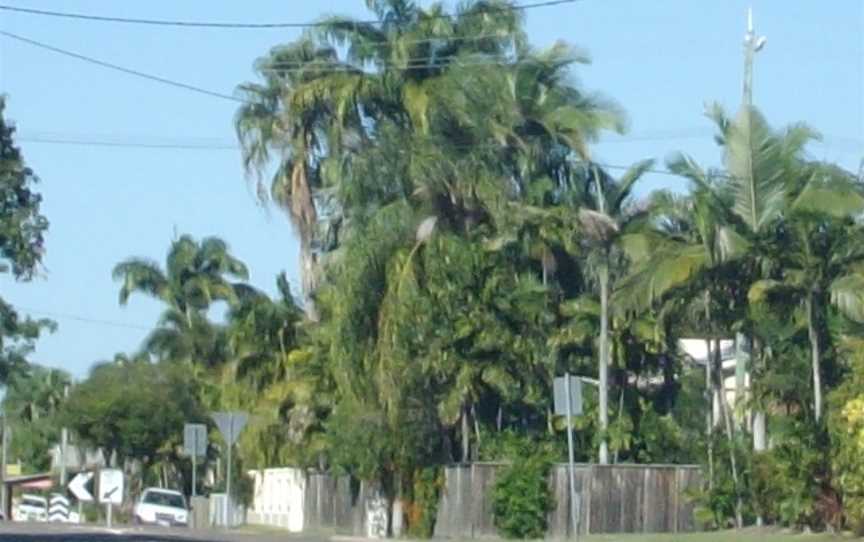 Hermit Park Queensland.jpg