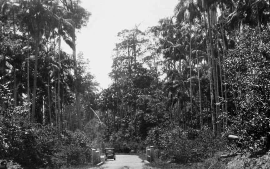 StateLibQld 1 132452 Motor vehicle travelling along the North Coast Road, 1935.jpg