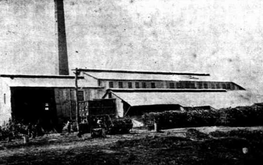 Kalamia Sugar Mill C1901