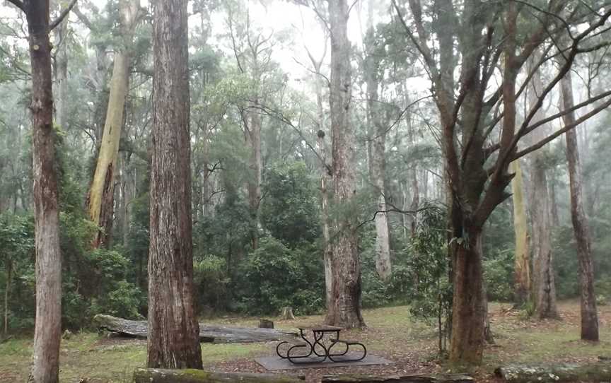 Apple Tree Park CSpringbrook CQueensland