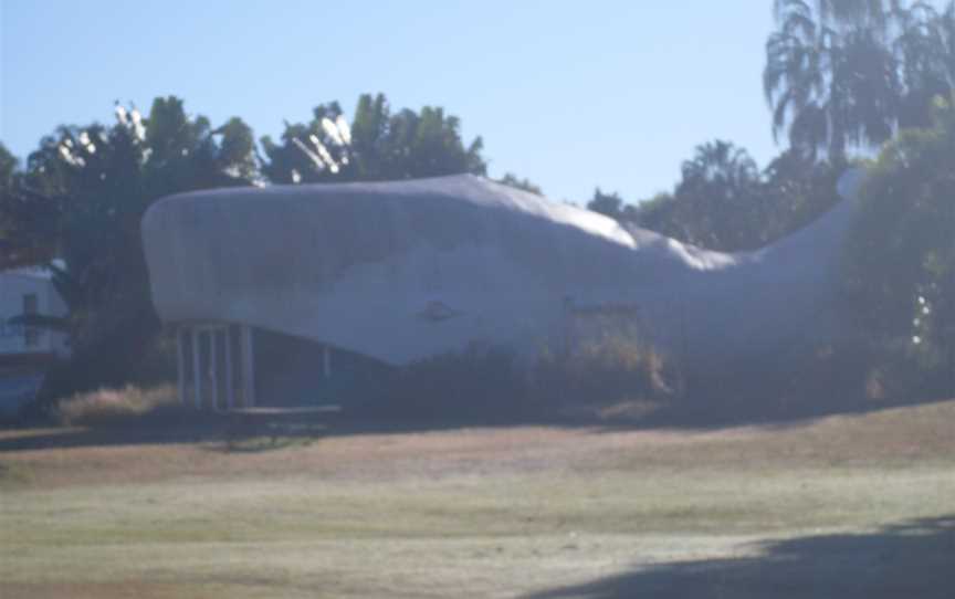 The Big Whale (Kinka Beach).jpg