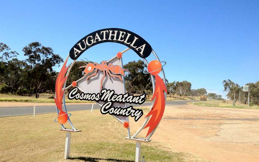 Augathella Cosmos Meatant Country