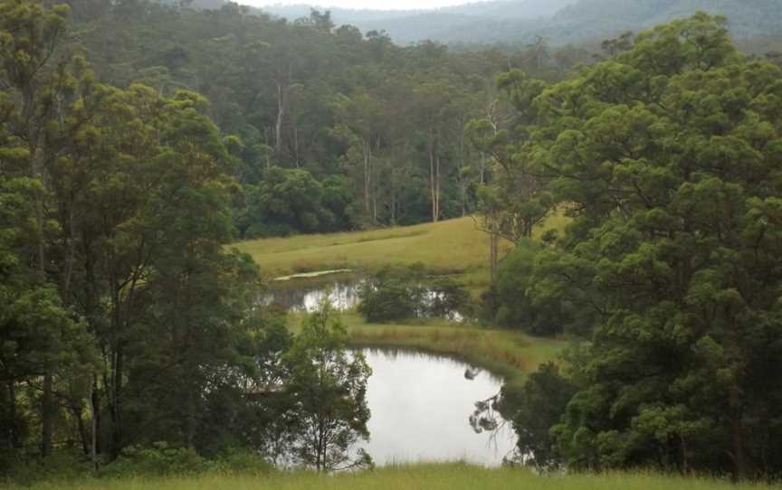 Damsalong Pocket Road CNuminbah Valley CQueensland