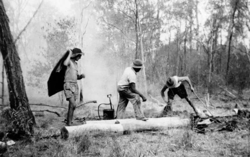 State Lib Qld2136158 Firefightinginthe Goovigendistrict CQueensland C1952