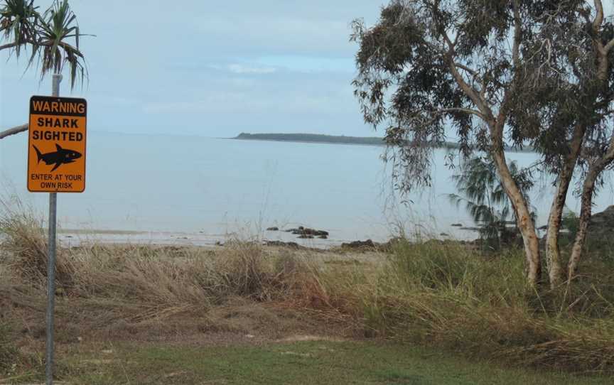 Sign about shark sighting on the beach at Clairview, Queensland, 2016.jpg