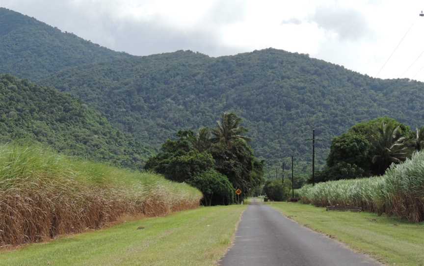 Sugar cane growing, looking west along Stewart Road towards the Bellenden Ker Range, Fishery Falls, 2018.jpg