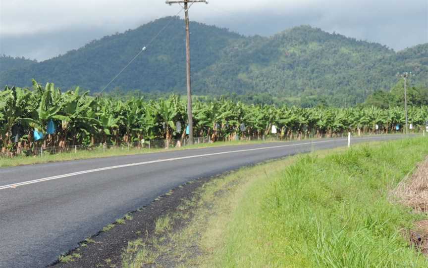 Bananafarmingalong Woopen Creek Road CWoopen Creek C2018