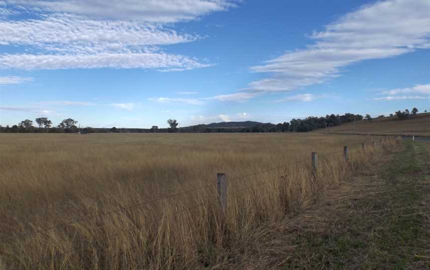 Fields 2 at Mount Mort, Queensland.jpg