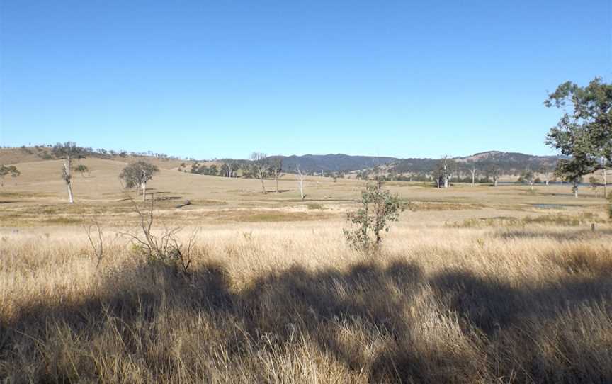 Paddocks Crossdale Queensland.jpg