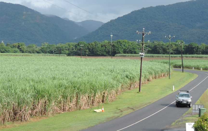 Sugar cane fields with mountains beyond, Lower Freshwater Road, Barron, Cairns, 2018 02.jpg