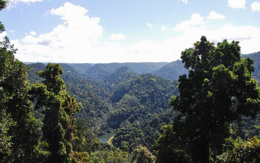 Wooroonoon Park( Mamu Skywalk)promenadeàhauteurdelacanopéedela Rain Forest