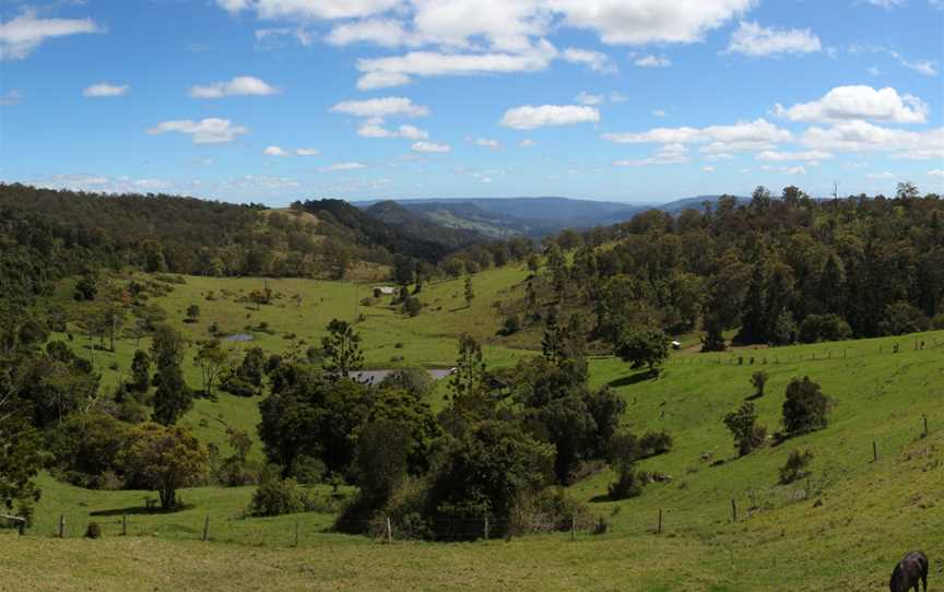 Green Mountain Scenic View, Lamington National Park QLD Dec 2013.jpg