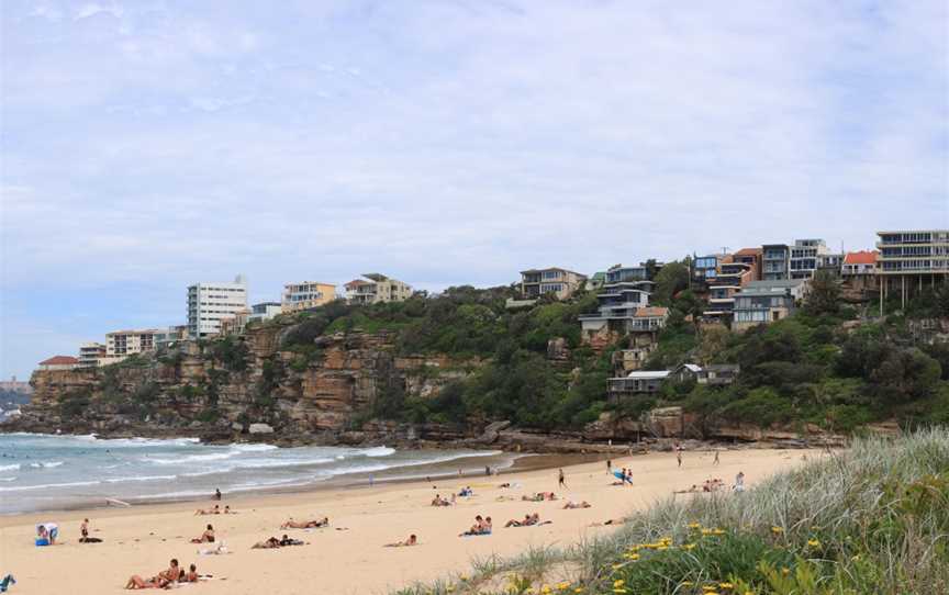 Freshwaterbeach pittwater council.jpg