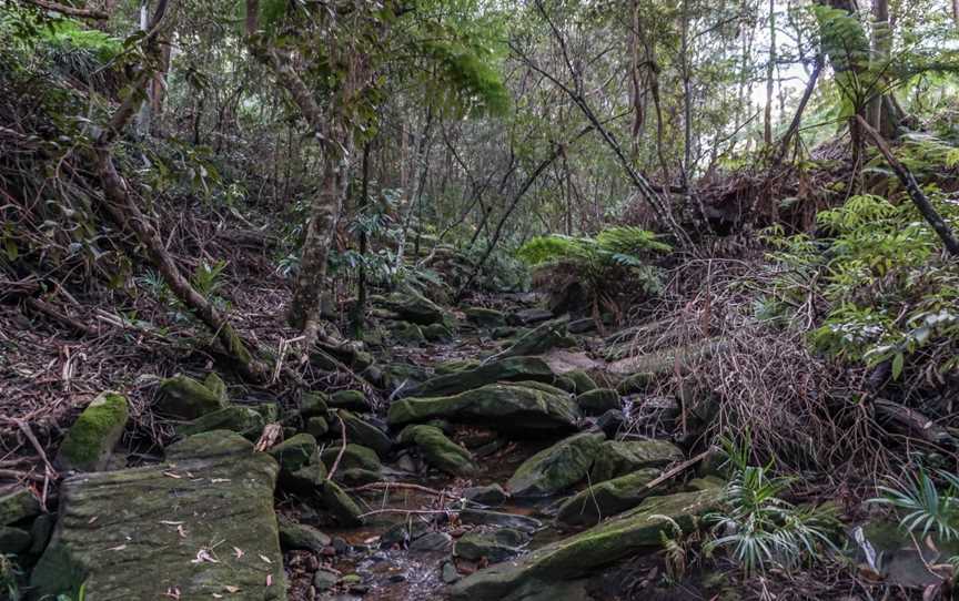 Coonong Creek Bushland Reserve Gymea Bay